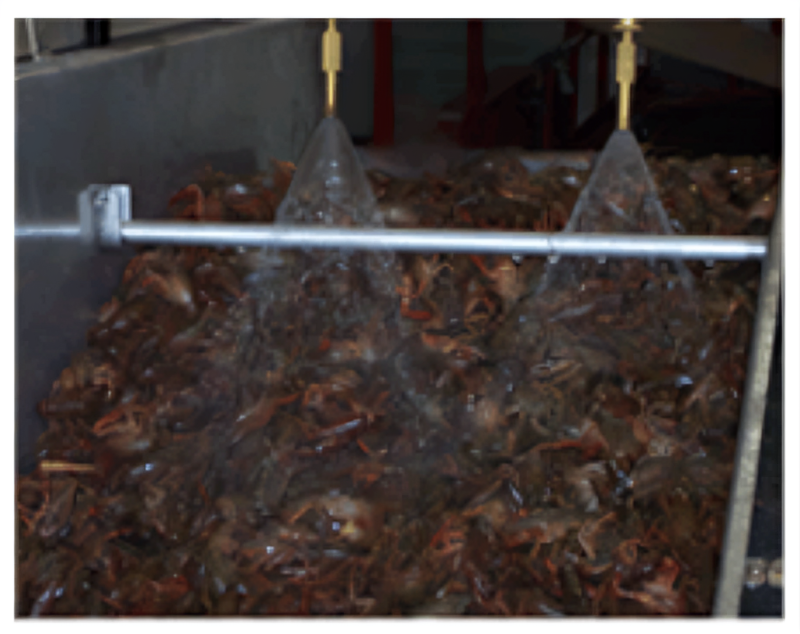 Hylle Crawfish Farm