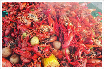 Hylle Crawfish Farm