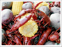 Hylle Crawfish Farm